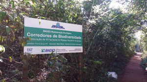 Foto: Flavio Bonilauri