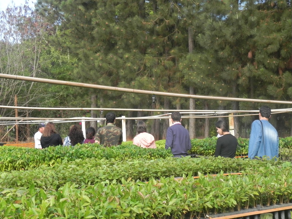 Visita ao Viveiro Escola Alvorada