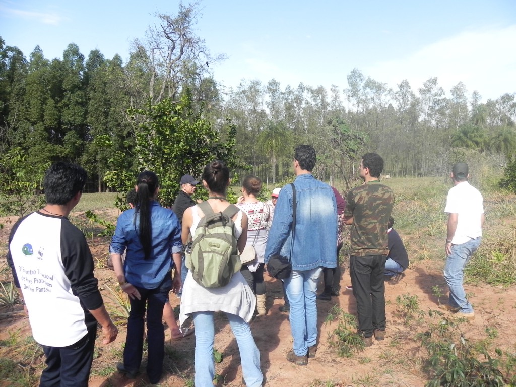 Segundo dia do curso Sistemas Agroflorestais e Princípios e Processos Agroecológicos – Sítio 3 irmãos.