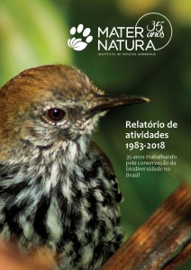 capa relatorio - site