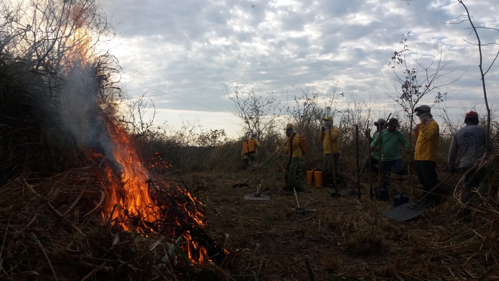 Treinamento de combate a incêndio - PREVFOGO