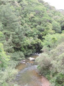 Área localizada na região dos Campos Gerais