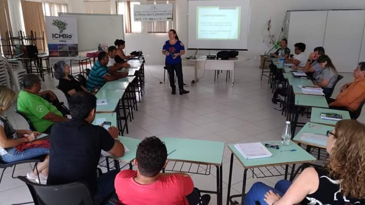 Renata durante moderação na 5ª Oficina do Ciclo de Capacitação para elaborar o Plano de Ação do Conselho
