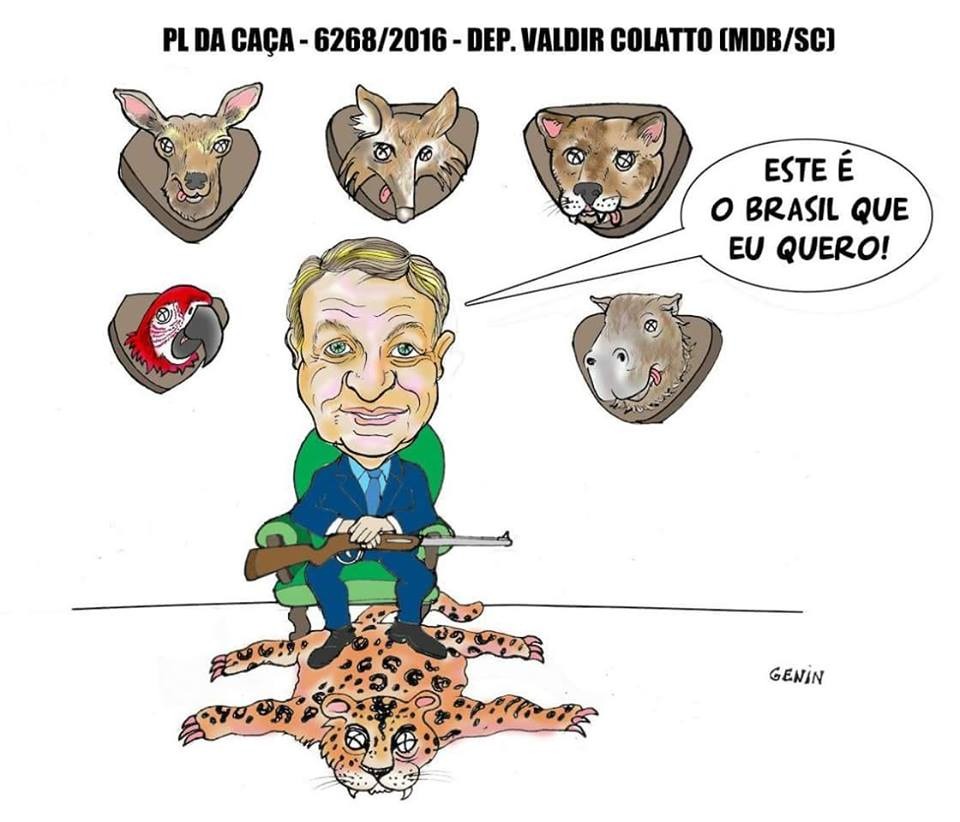 Charge de Genin