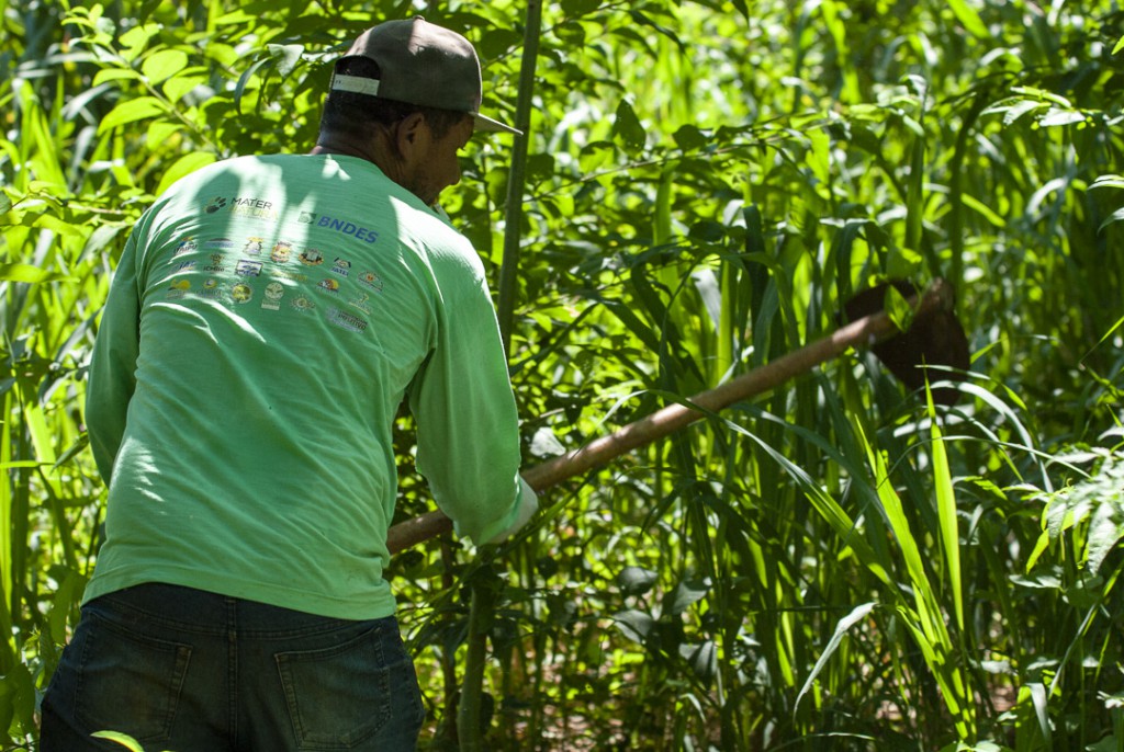Trabalhador da equipe de plantio e manutenção do projeto Corredores de Biodiversidade.