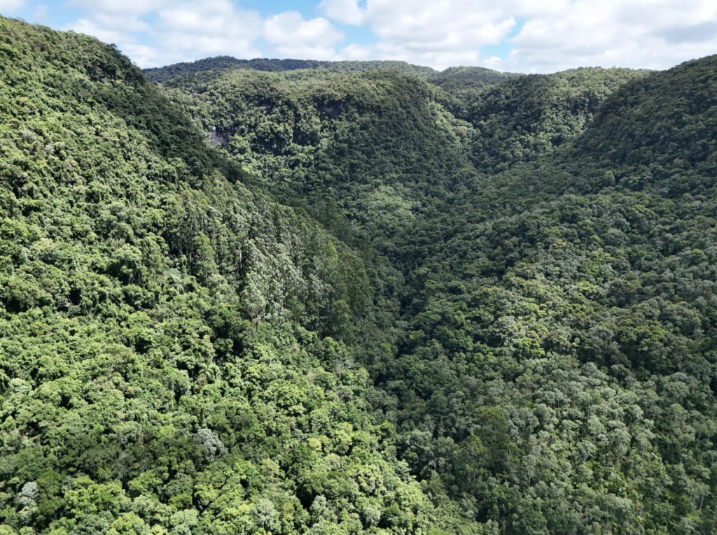 Montanha com árvores
O conteúdo gerado por IA pode estar incorreto.
