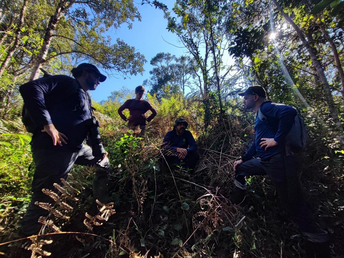 Pessoas na floresta
O conteúdo gerado por IA pode estar incorreto.
